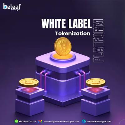 White Label Tokenization: Fast Track to Digital Assets